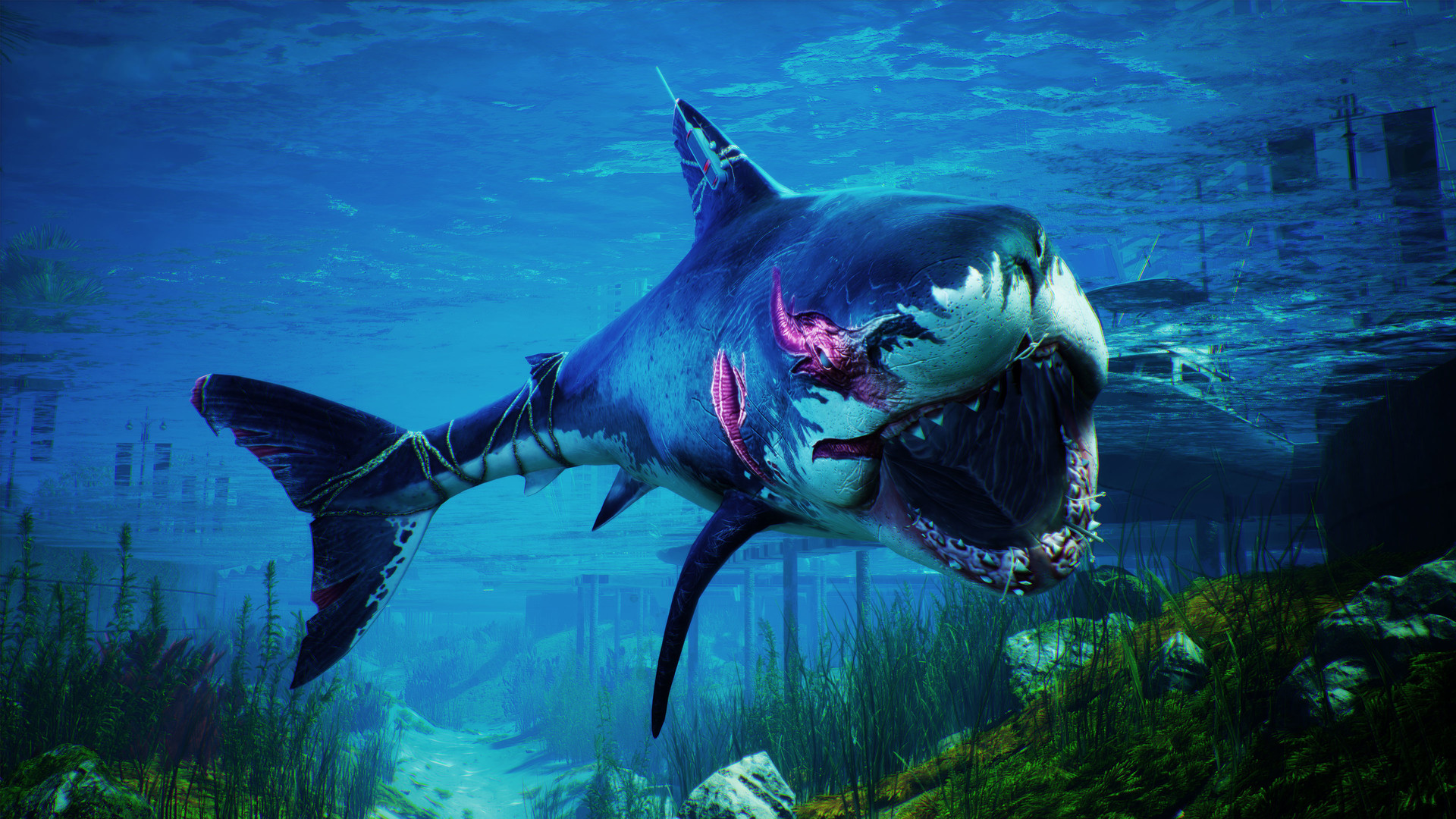 Launch trailer για το&nbsp;Maneater