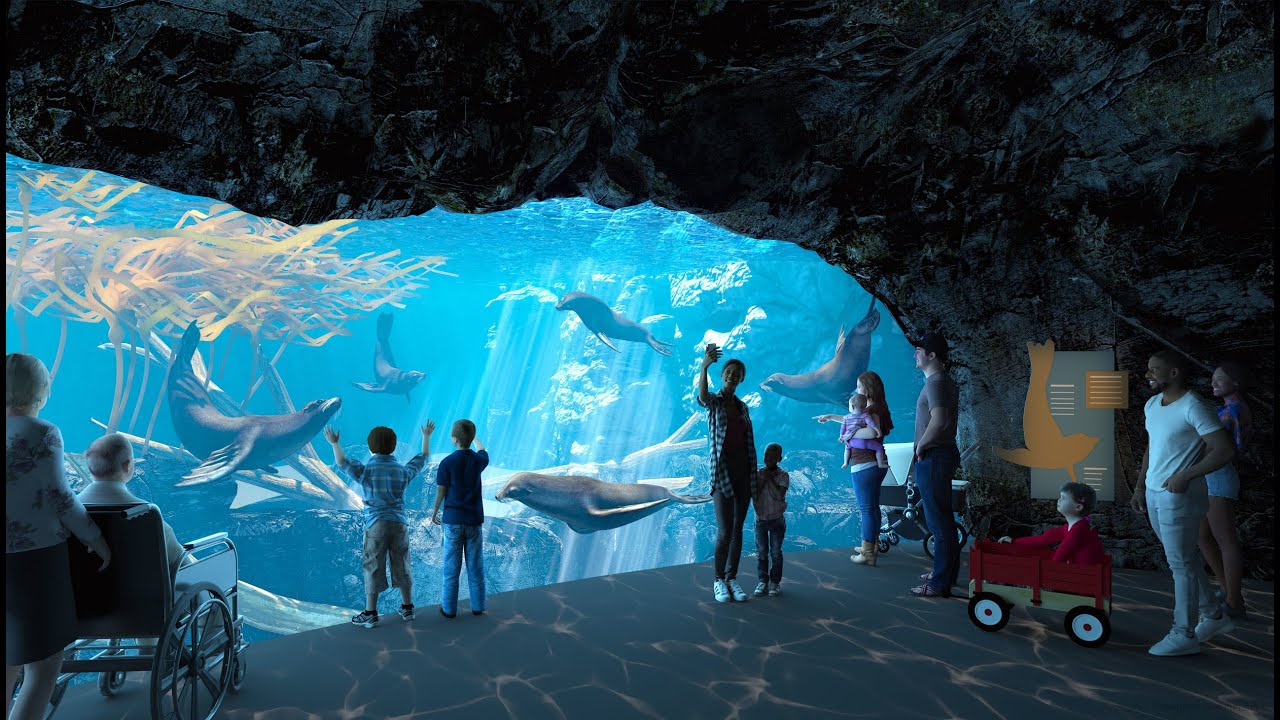 Το υγρό στοιχείο έρχεται στο Planet Zoo με την προσθήκη του Aquatic&nbsp;Pack
