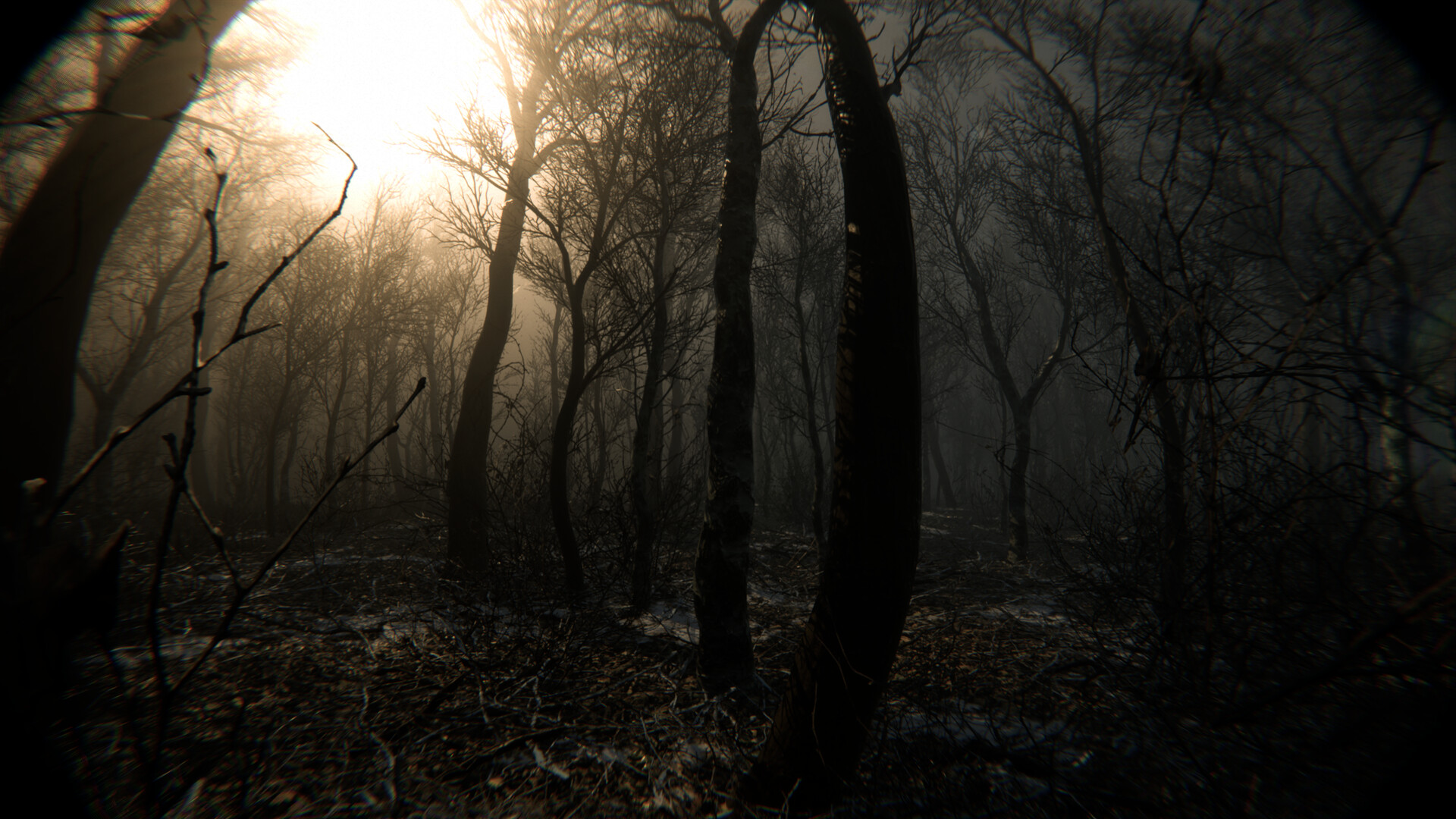 O Φρικιαστικός Κόσμος του «Digested»&nbsp;αποκαλύπτεται