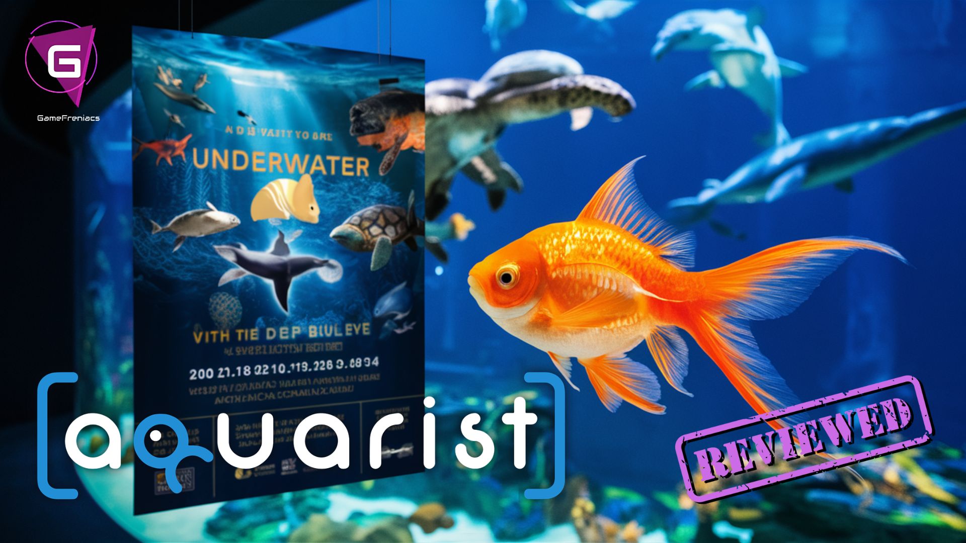 Aquarist Console Review